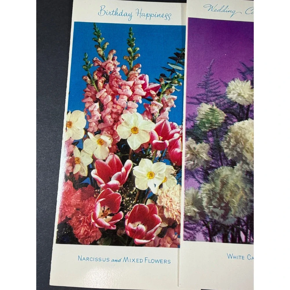 VTG Sunshine Card Co Greeting Cards Multicolor Floral B'day Wedding Ephemera
